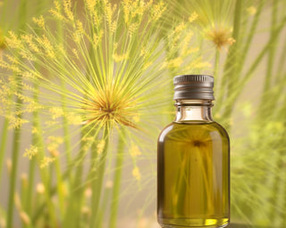 Pure Papyrus Oil – Nile Reed for Root & Solar Plexus